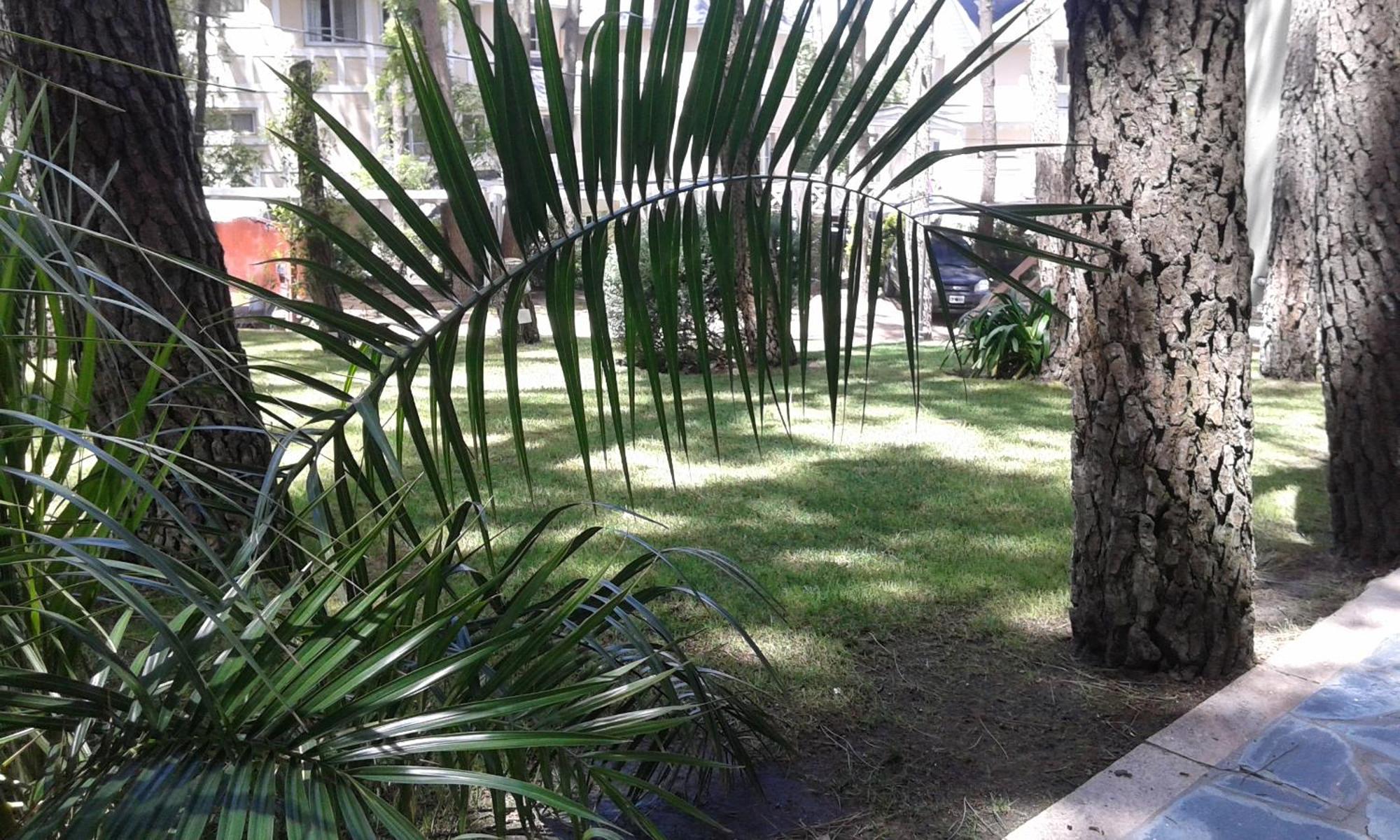 La Casona * Mar de Las Pampas